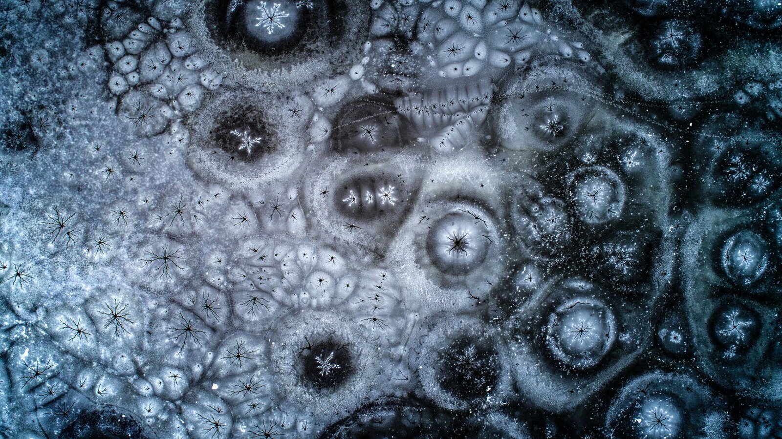 ez egy érdekes kép